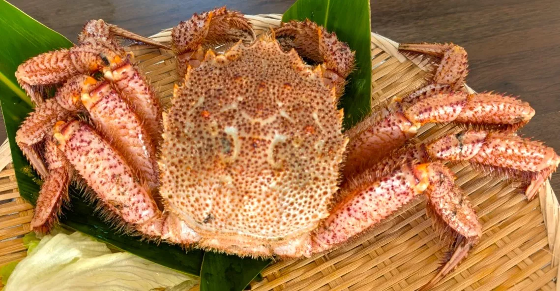 期間限定メニュー